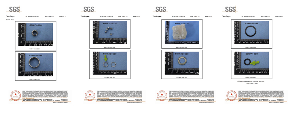 hlgs bearing sgs test rohs pops rahs